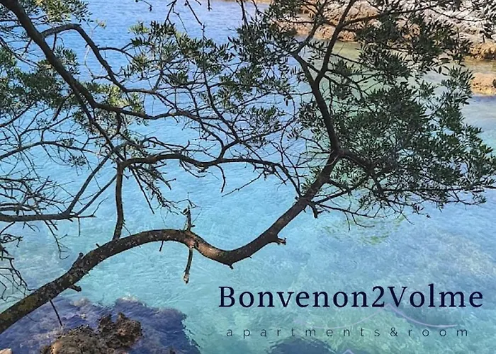Bonvenon2volme Apt&room Apartment *